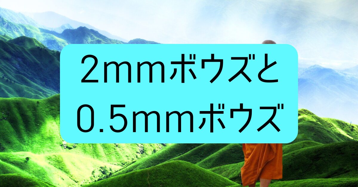 2mmボウズから0.5mmボウズへ（薄毛）